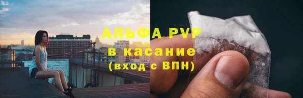 твердый Богородск